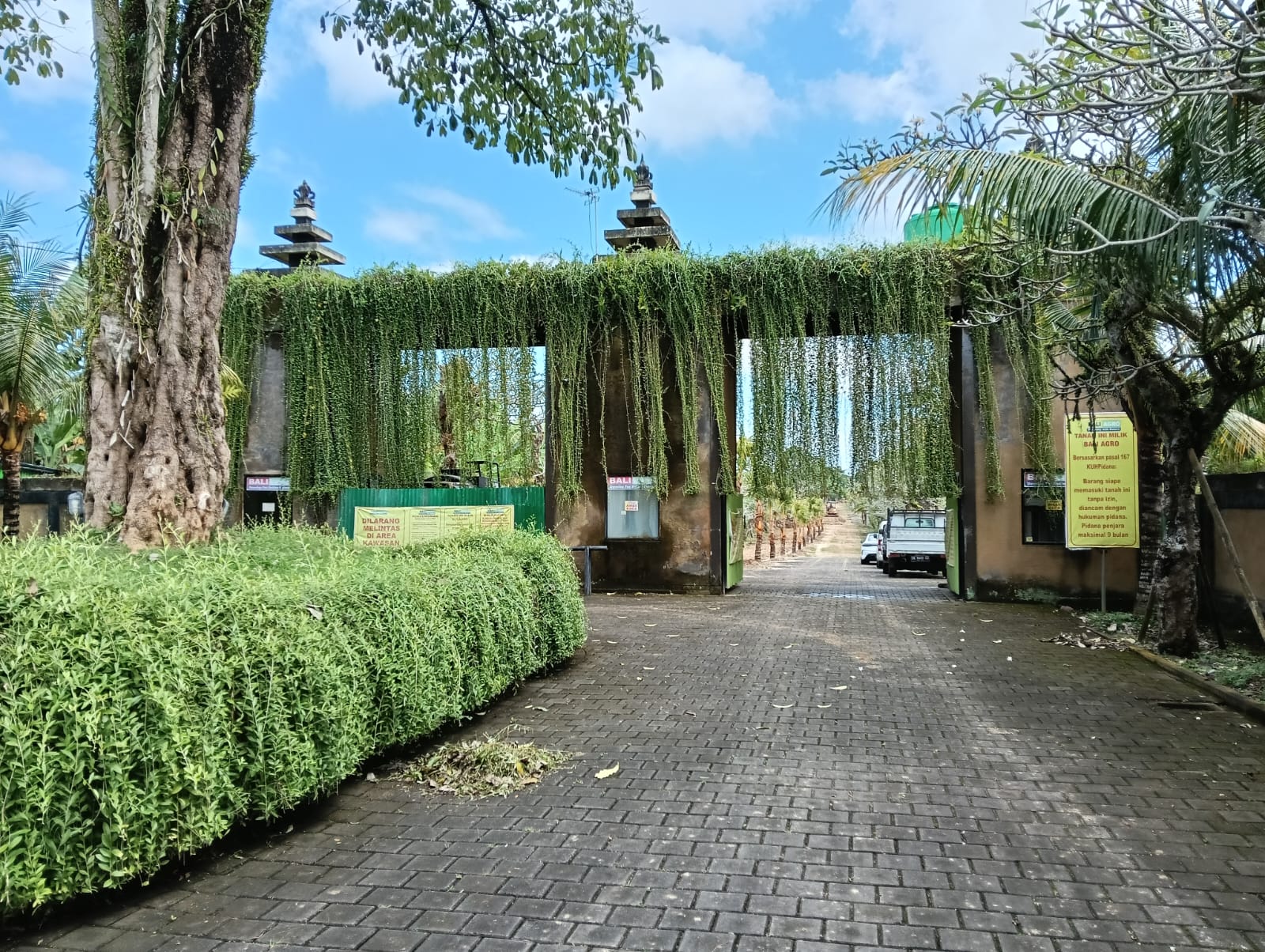 Kavling Premium Kompi C – Negara, Jembrana, Bali10
