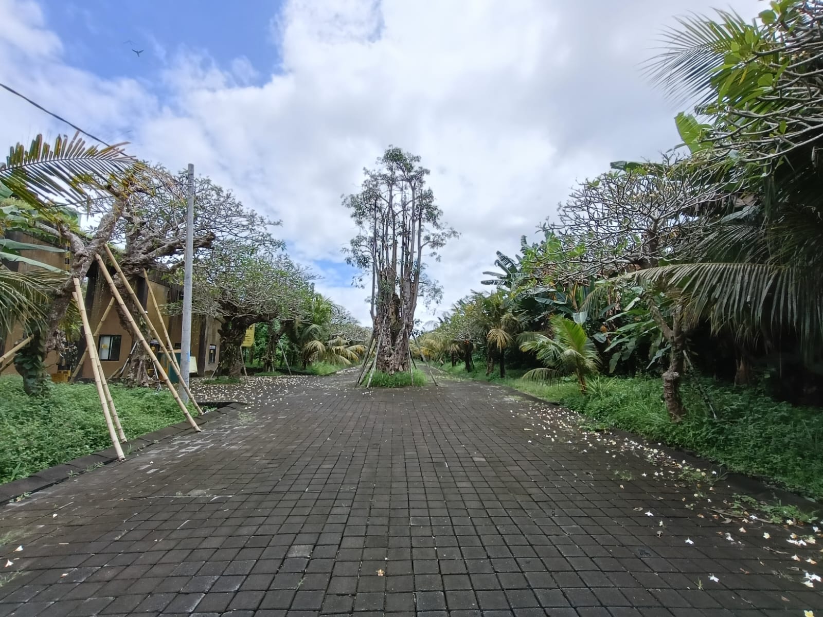 Kavling Premium Prof. Mantra Siyut – Gianyar, Bali13