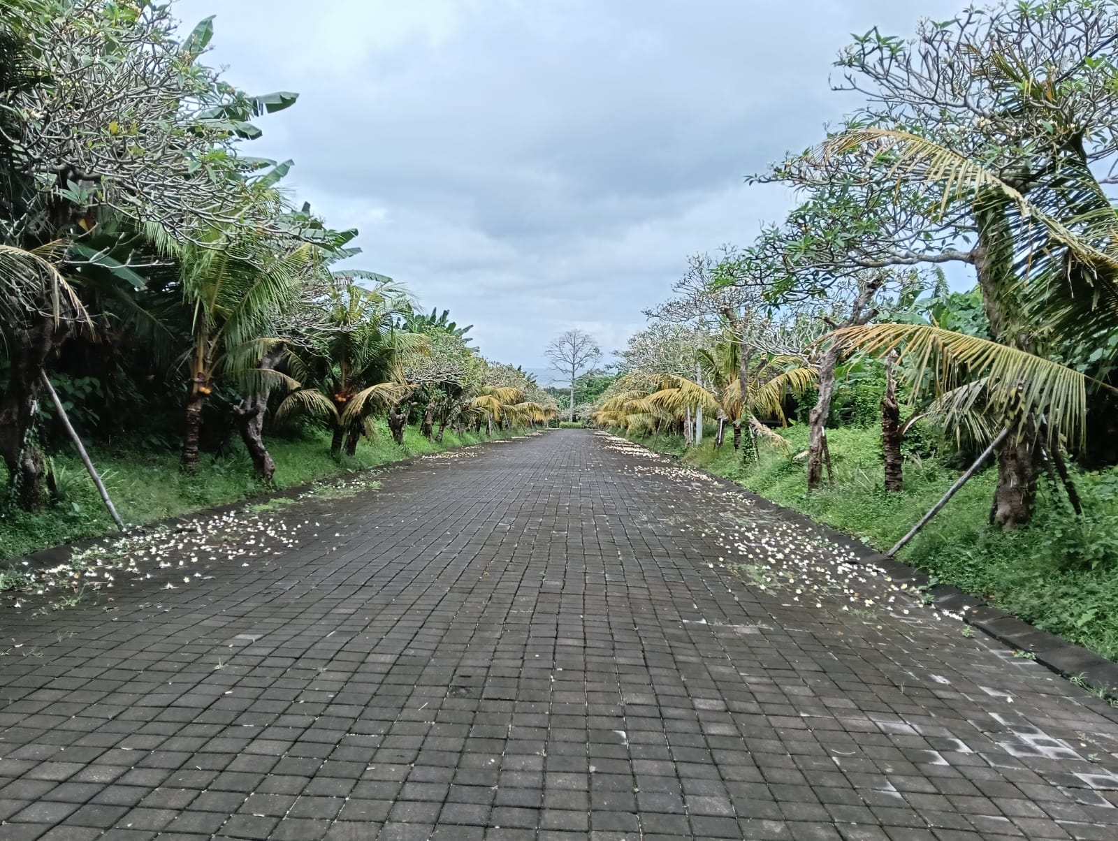 Kavling Premium Prof. Mantra Siyut – Gianyar, Bali16