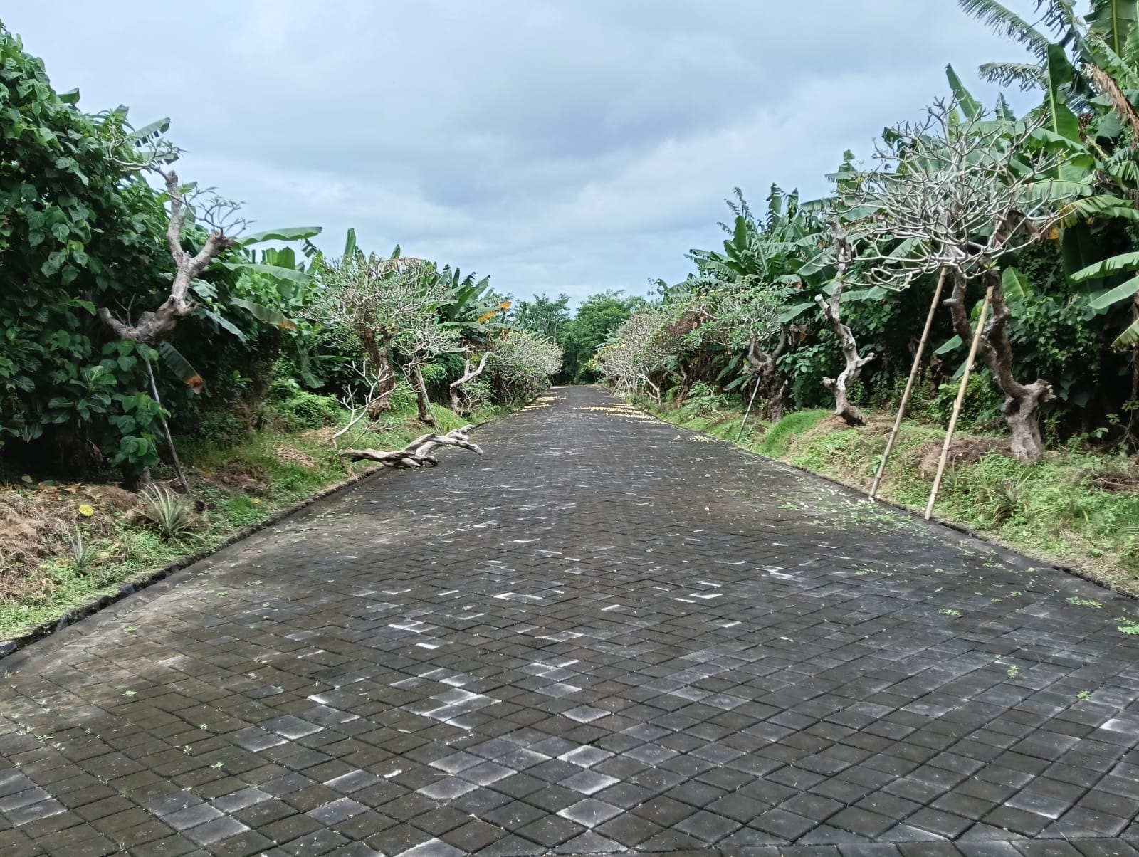 Kavling Premium Prof. Mantra Siyut – Gianyar, Bali17